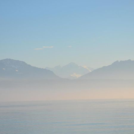 Bnb Chez Fanfan Morges Eksteriør billede