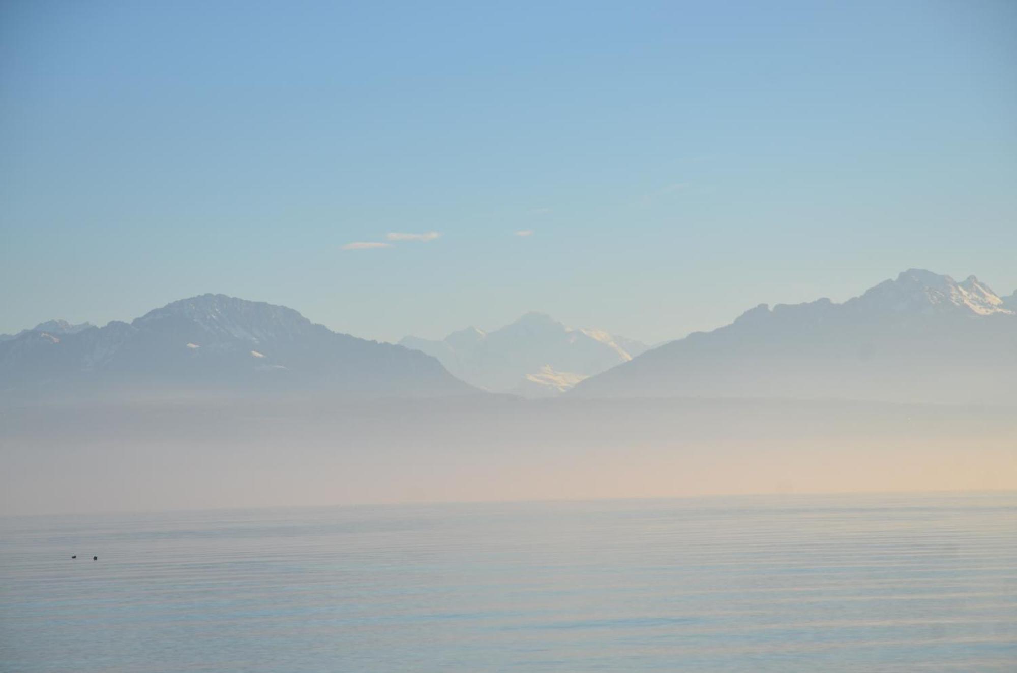 Bnb Chez Fanfan Morges Eksteriør billede